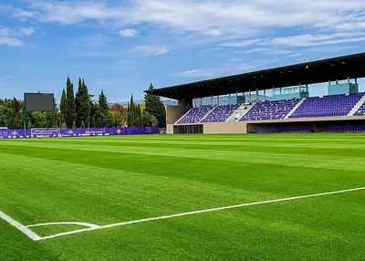 Viola Park