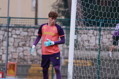 Leonardelli