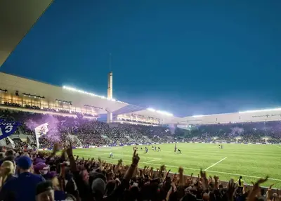 Restyling Stadio Franchi