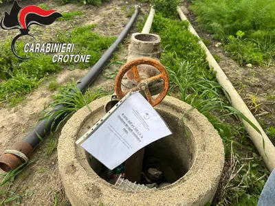 Foto: repertorio
