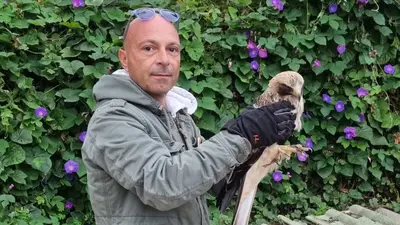 Girolamo Parretta (Circolo Ibis) con l'aquila ferita