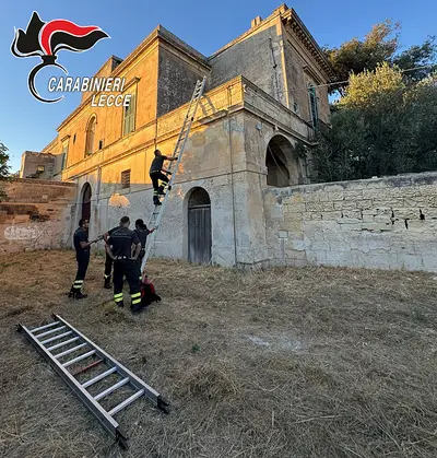 Salvataggio