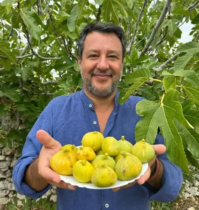 Matteo Salvini con i fichi raccolti