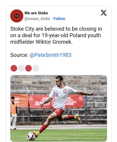 Gromek, il tweet dello Stoke