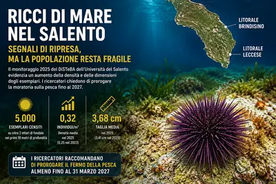 ricci di mare