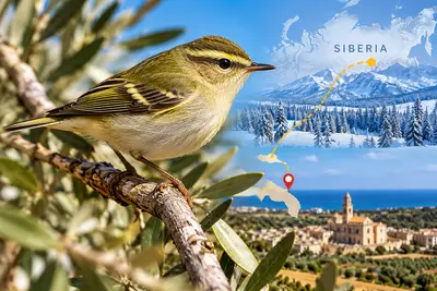 uccello migratorio