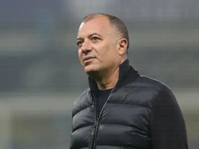 sticchi damiani