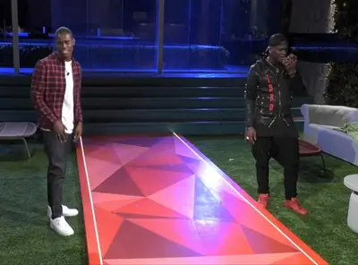 i fratelli balotelli