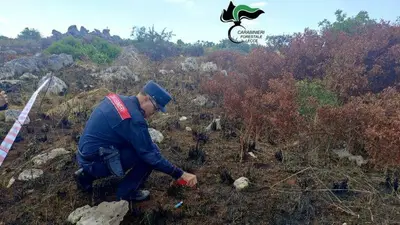 Carabinieri Forestali