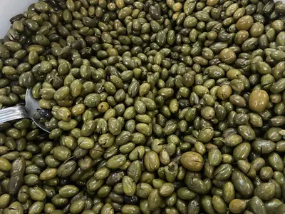 olive