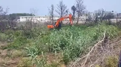 lavori a san cataldo