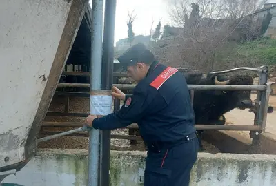Il sequestro dell'allevamento