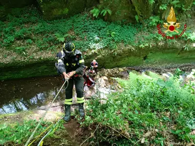 L\'intervento dei vigili del fuoco