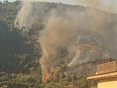 Immagine di repertorio