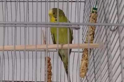 Immagine di repertorio