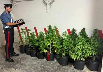 Blitz dei carabinieri nell'agro aversano