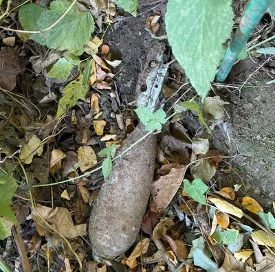 L'ordigno bellico a Cellole