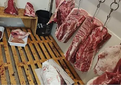 Ruggine e celle frigo malridotte