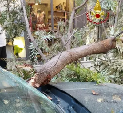 Immagine di repertorio