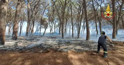 L'incendio nella pineta di Baia Domizia