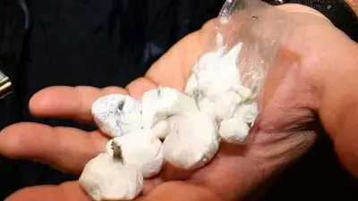Gli involucri di cocaina