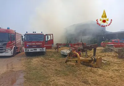 L'incendio nell'azienda bufalina