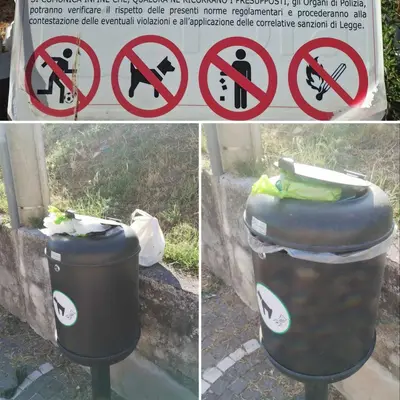 Cestini per le deiezioni canine