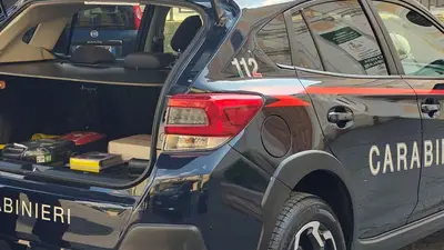 Blitz antidroga dei carabinieri