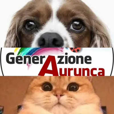 Un "grazie" a Generazione Aurunca
