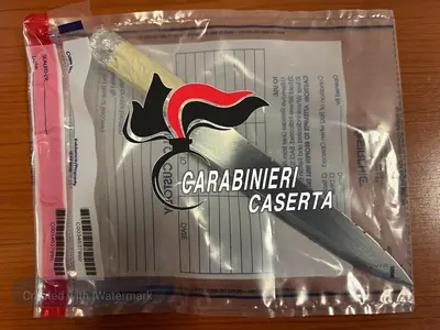 Il coltello sequestrato dai carabinieri