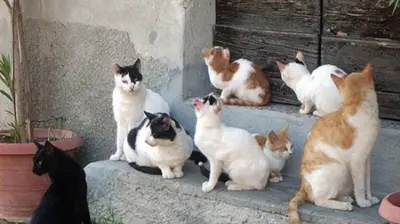 Immagine di repertorio