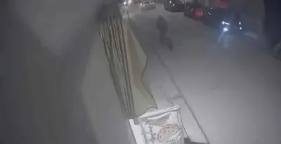 Immagine di repertorio