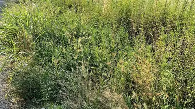 Immagine di repertorio