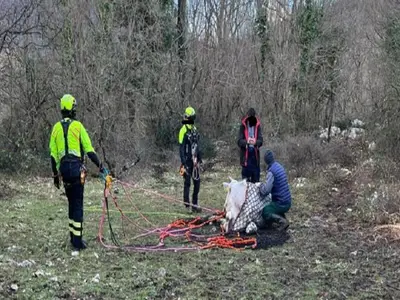 Immagine di repertorio