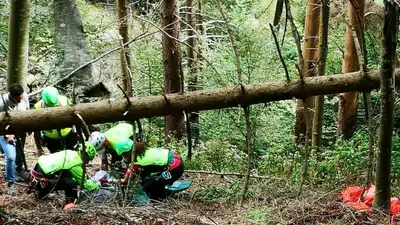 Uomo schiacciato dall'albero