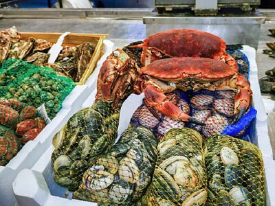 Immagine di repertorio