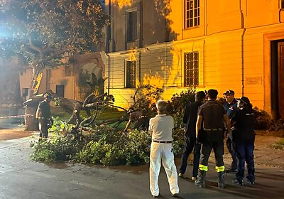 Tromba d'aria a Mondragone: cade albero nei pressi del Palazzo Ducale