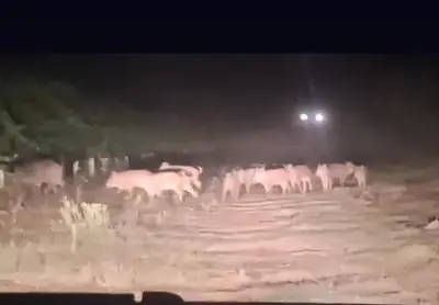 Immagine di repertorio