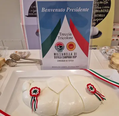 La maxi treccia tricolore