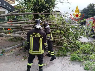 Immagine di repertorio