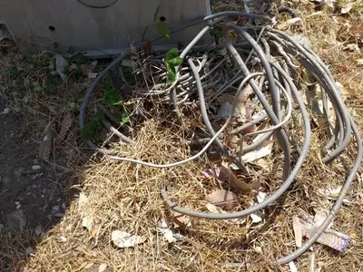 Immagine di repertorio