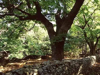 Immagine di repertorio