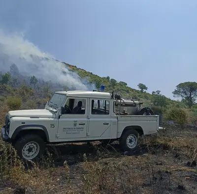 Immagine di repertorio