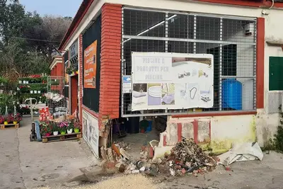 Il negozio danneggiato