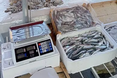 Immagine di repertorio