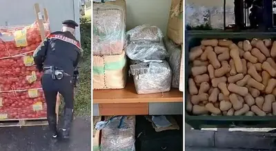 Il maxi sequestro di droga