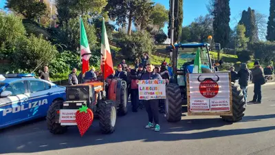Due trattori dal Casertano