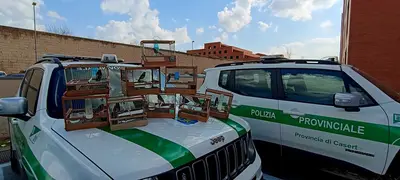 I cardellini sequestrati