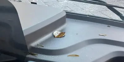 La bottiglia rotta sul bus