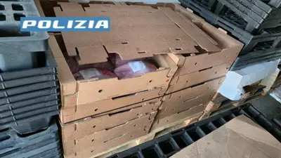 Il sequestro di polli